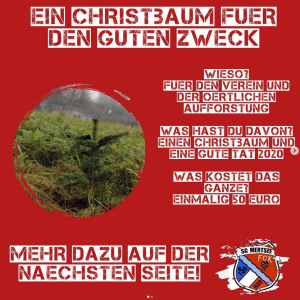 Mehr über den Artikel erfahren Christbaum für den guten Zweck